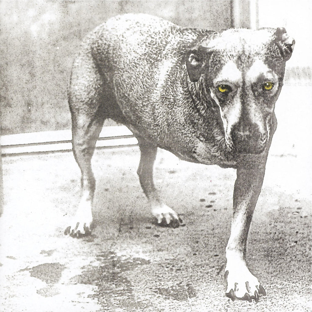 Alice In Chains — Alice In Chains (30th Ann 2-LP)
