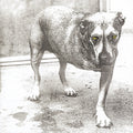 Alice In Chains — Alice In Chains (30th Ann 2-LP)