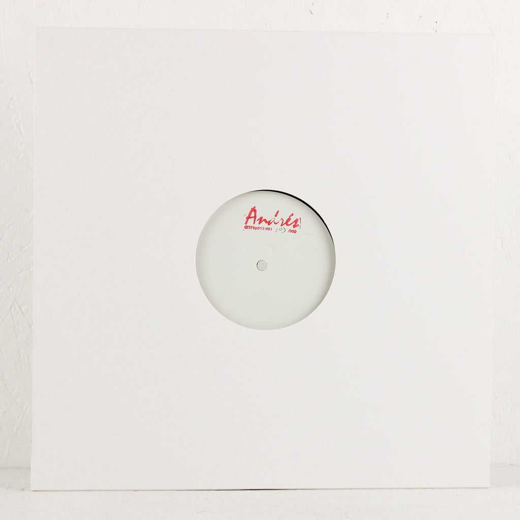 GTFlip313-001 – Vinyl EP