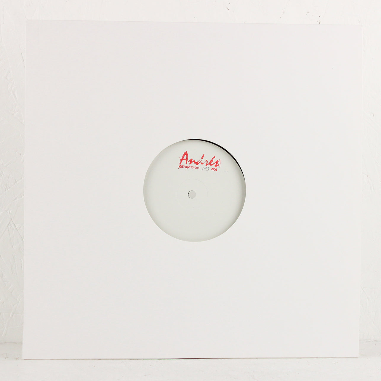 GTFlip313-001 – Vinyl EP
