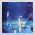 Aquáticos – Vinyl LP