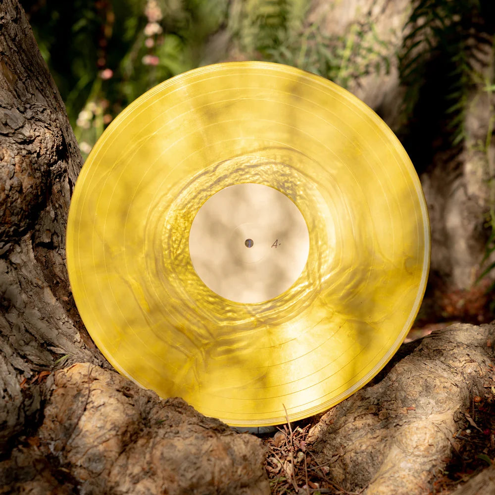 Banjo and Kazooie Vinyl Soundtrack 2xLP Reissue (Distro Title)