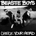 Beastie Boys — Check Your Head (2-LP)