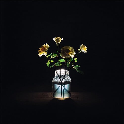 Billy Strings — Renewal (2-LP)