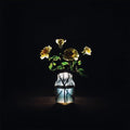 Billy Strings — Renewal (2-LP)