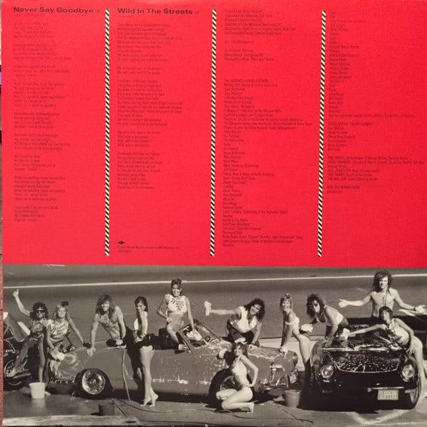 Bon Jovi — Slippery When Wet