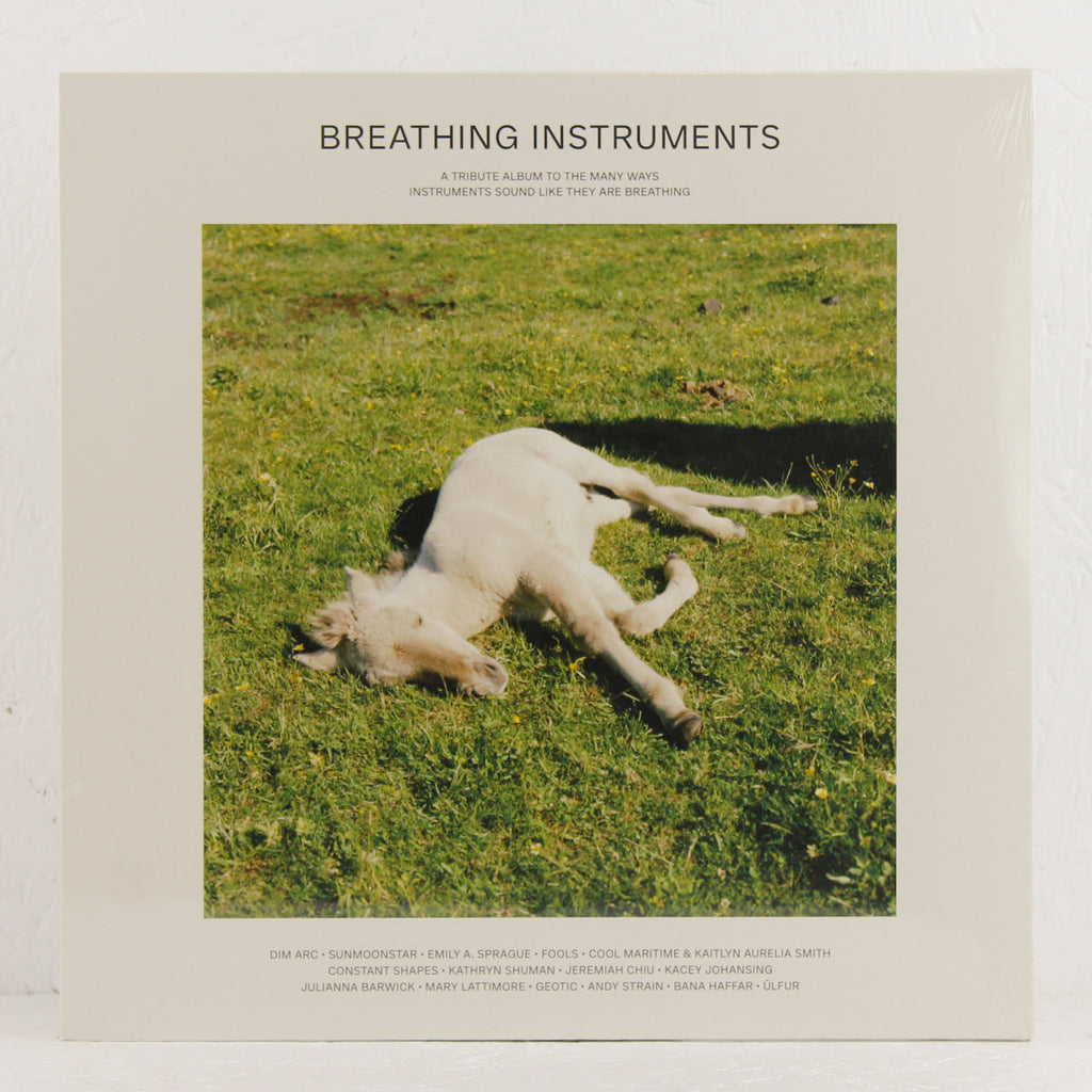 Breathing Instruments (curated by Kaitlyn Aurelia Smith)– Vinyl 2LP