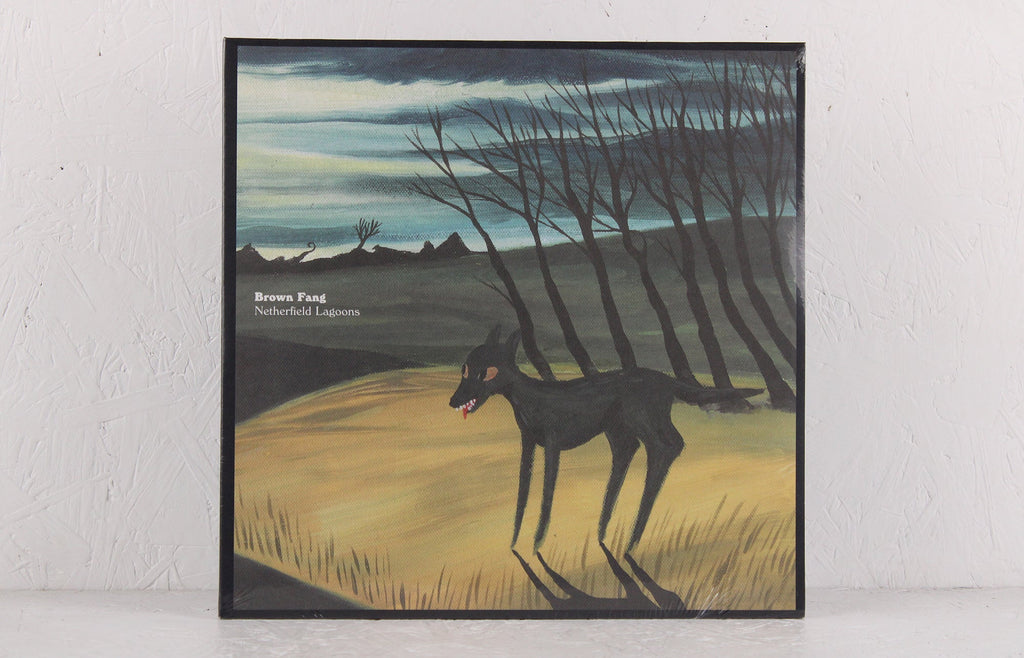 Netherfield Lagoons – Vinyl 2LP + 6 x A4 posters