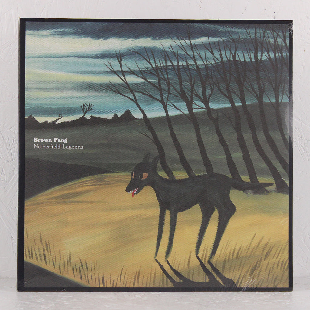 Netherfield Lagoons – Vinyl 2LP + 6 x A4 posters