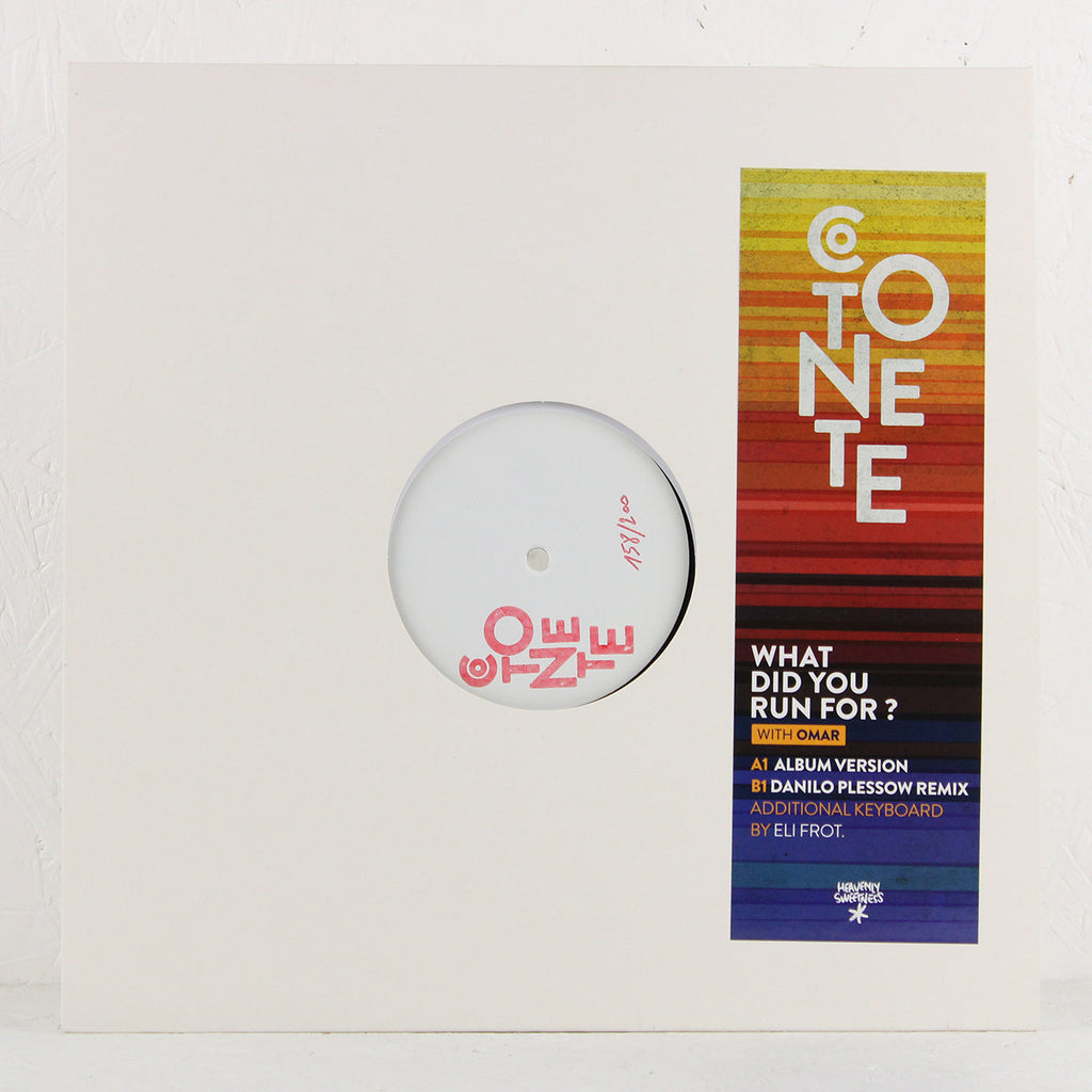 What Did You Run For? (Danilo Plessow Remix) – Vinyl 12"