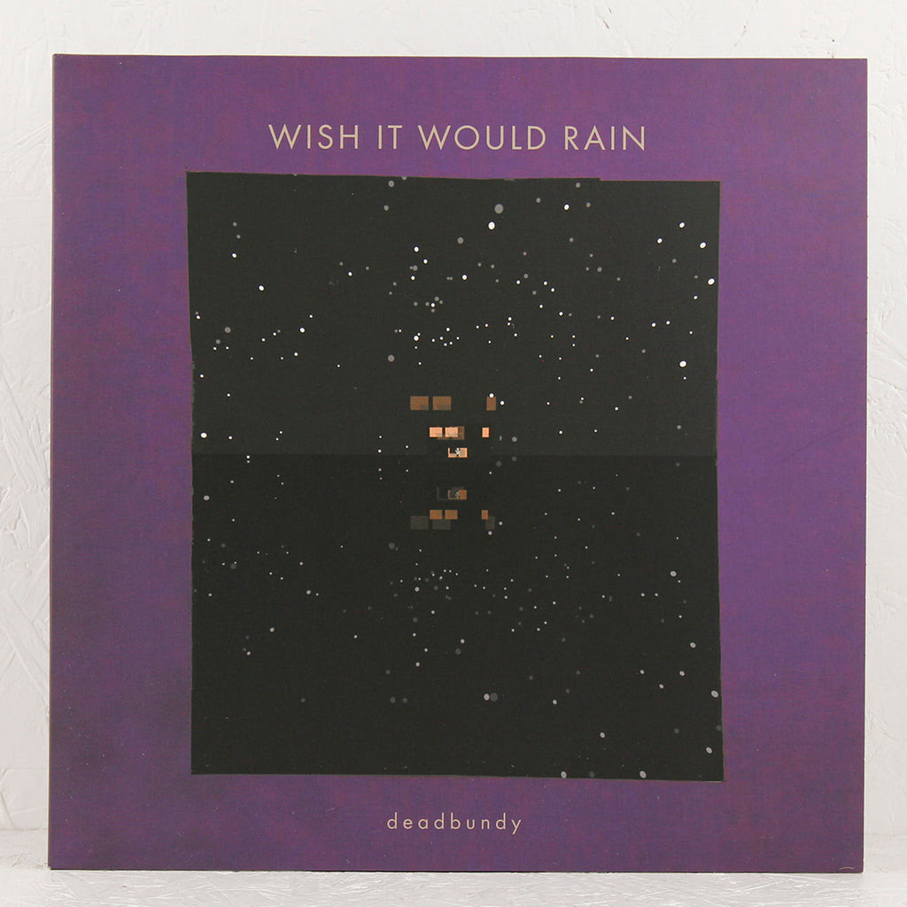 Wish It Would Rain – Vinyl 12"