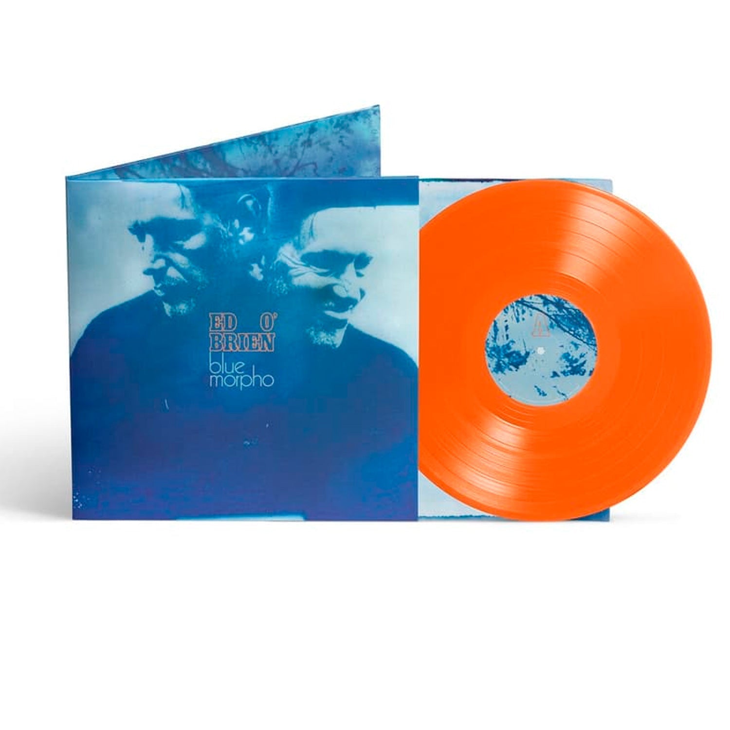Ed O'Brien — Blue Morpho