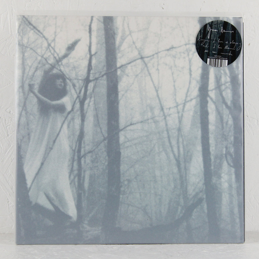 Everyone I Love Is Sleeping And I Love Them So So Much – Vinyl LP