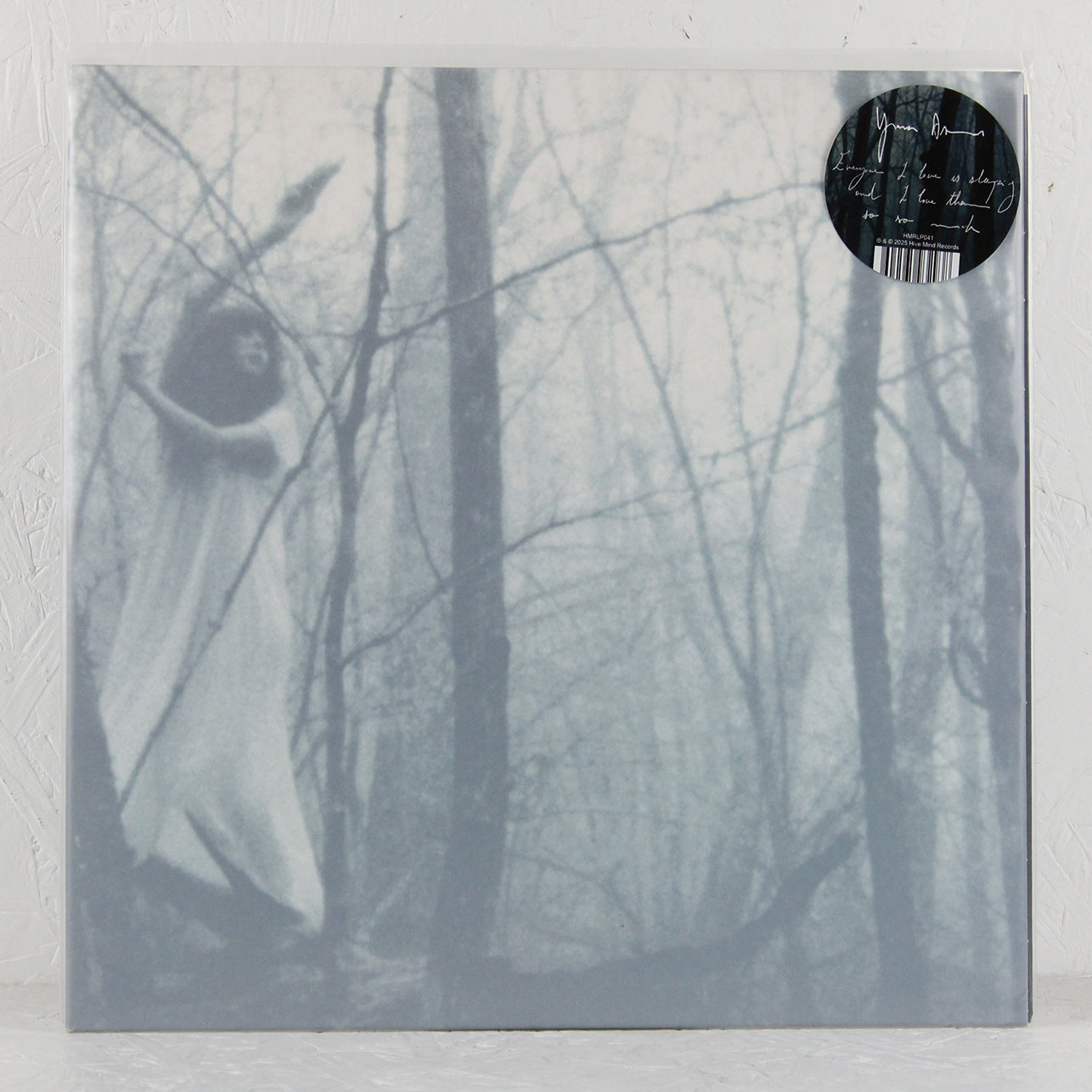 Everyone I Love Is Sleeping And I Love Them So So Much – Vinyl LP