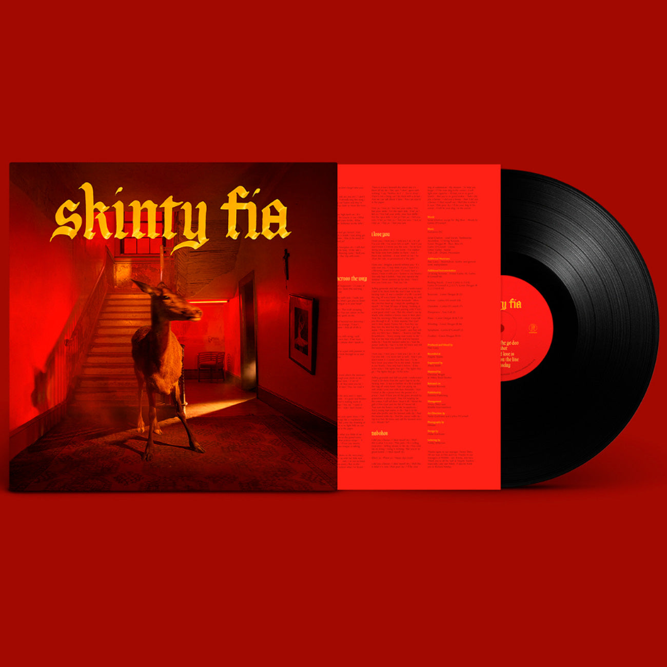 Fontaines D.C. — Skinty Fia