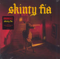 Fontaines D.C. — Skinty Fia
