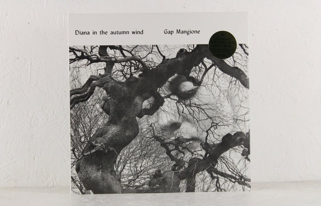 Diana In The Autumn Wind – Vinyl LP
