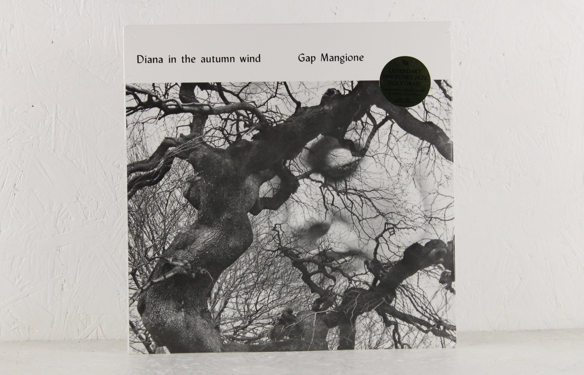 Diana In The Autumn Wind – Vinyl LP