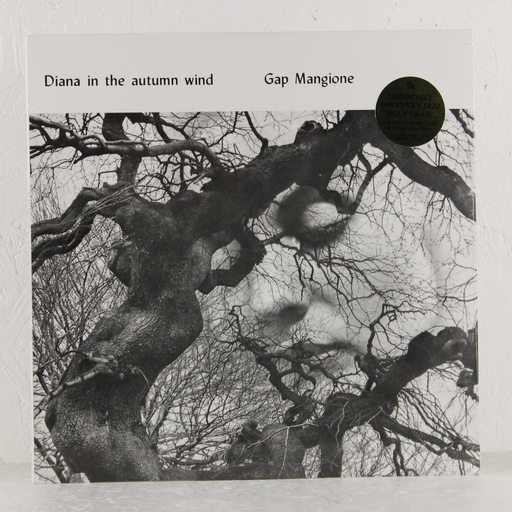 Diana In The Autumn Wind – Vinyl LP
