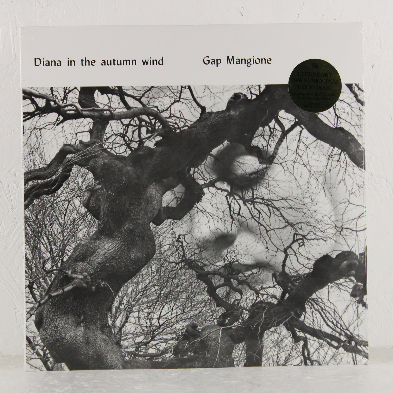 Diana In The Autumn Wind – Vinyl LP