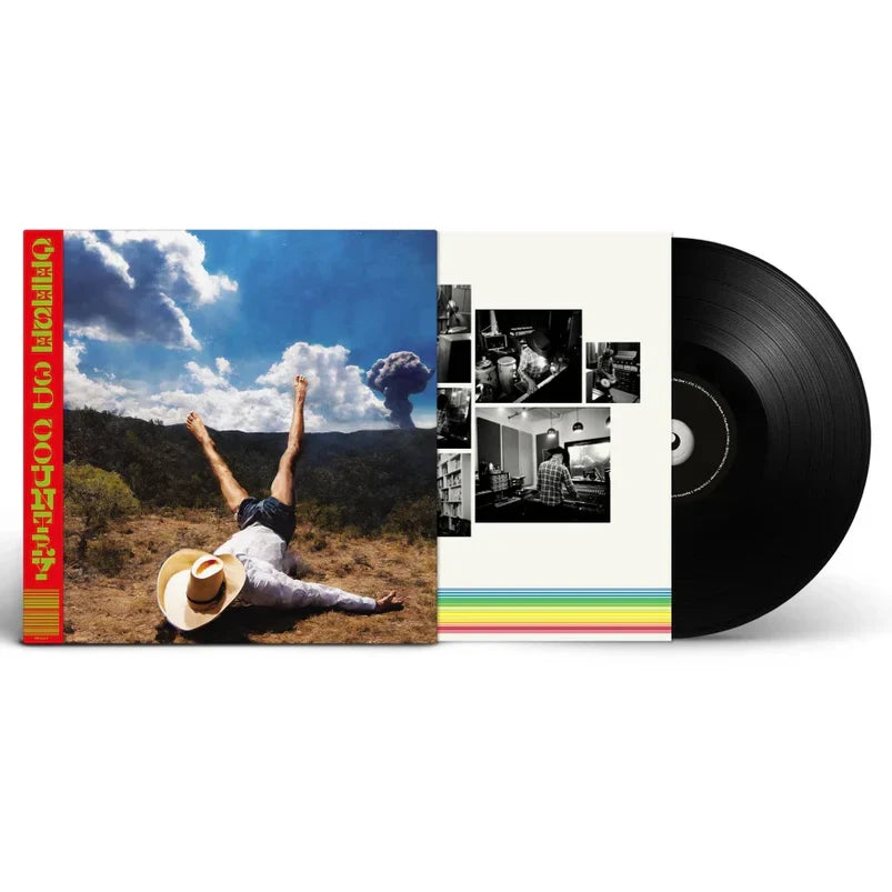 Geese — 3D Country