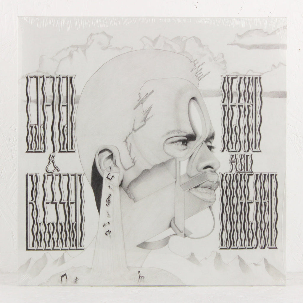 Heard and Unheard – Vinyl LP