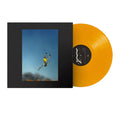 Yeah Yeah Yeahs -  Cool It Down (Distro Title)