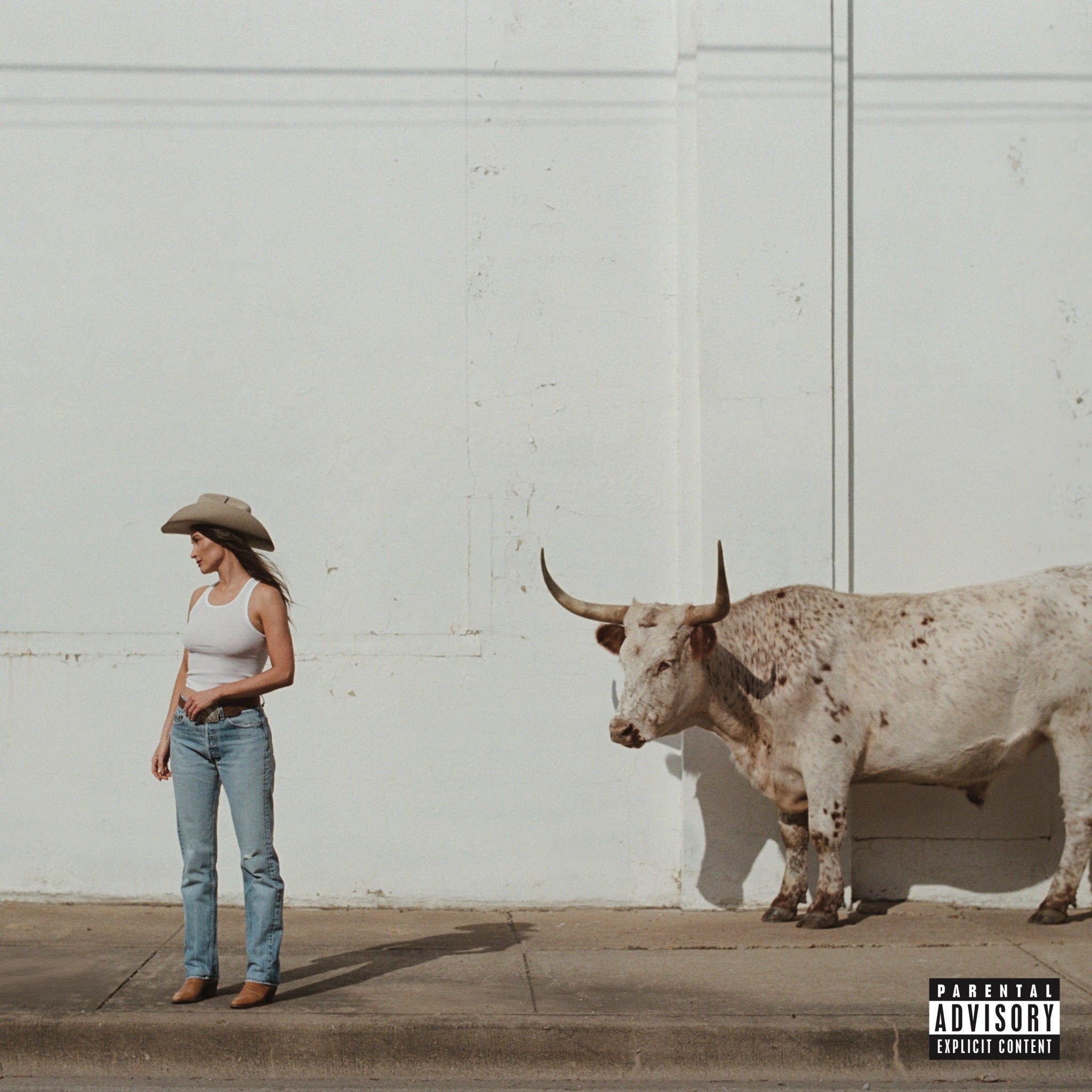Kacey Musgraves — Middle Of Nowhere (IEX Rodeo Clown)