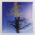 Rooting For Love – Vinyl LP