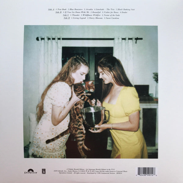 Lana Del Rey — Blue Banisters (2-LP)