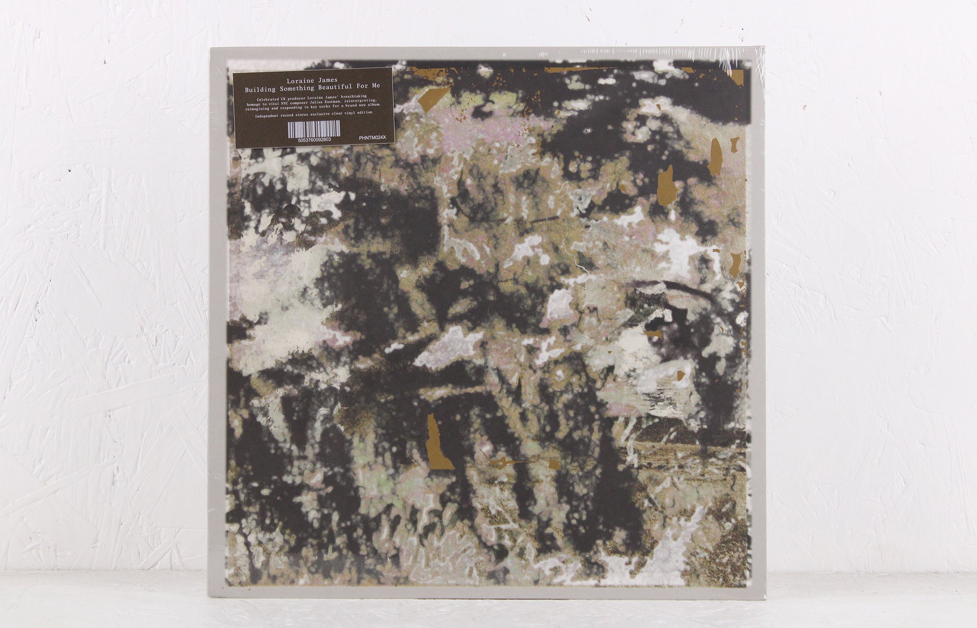 Building Something Beautiful For Me (Clear Vinyl) – Vinyl LP