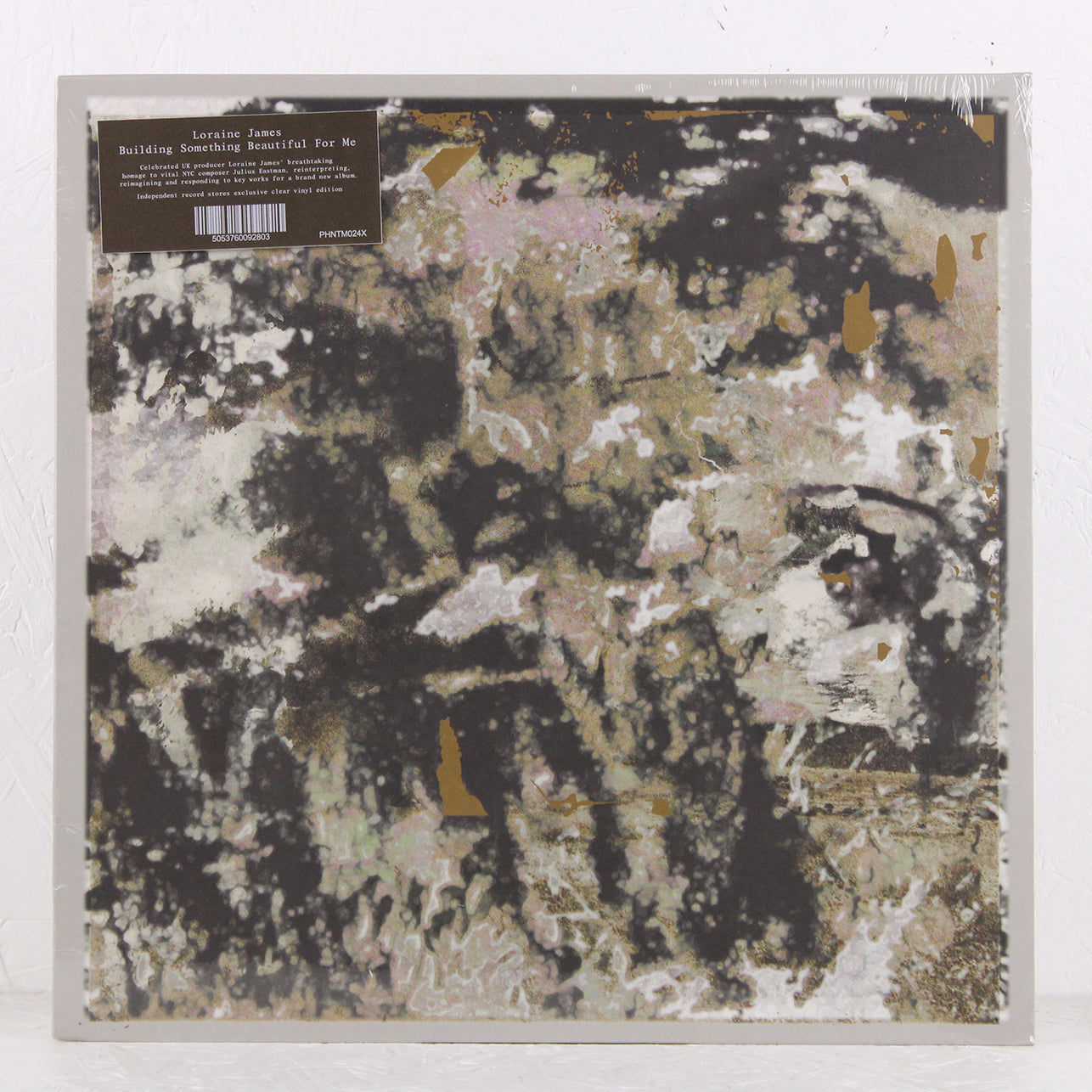 Building Something Beautiful For Me (Clear Vinyl) – Vinyl LP