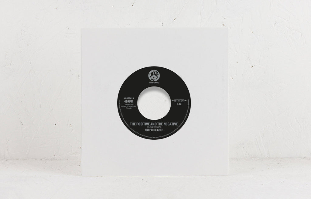 The Positive and The Negative – Vinyl 7"