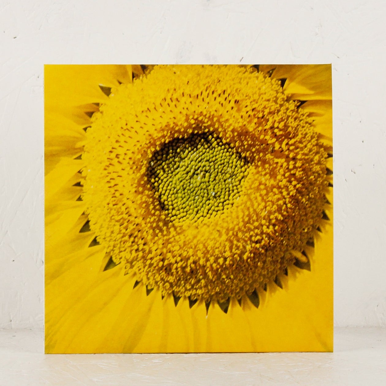 Girassol – Vinyl 7"