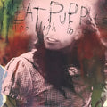 Meat Puppets — Too High To Die (IEX)