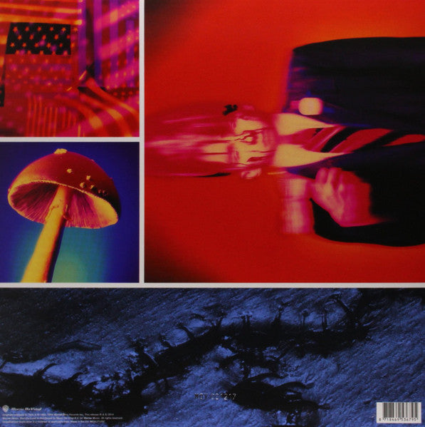 Ministry — Filth Pig