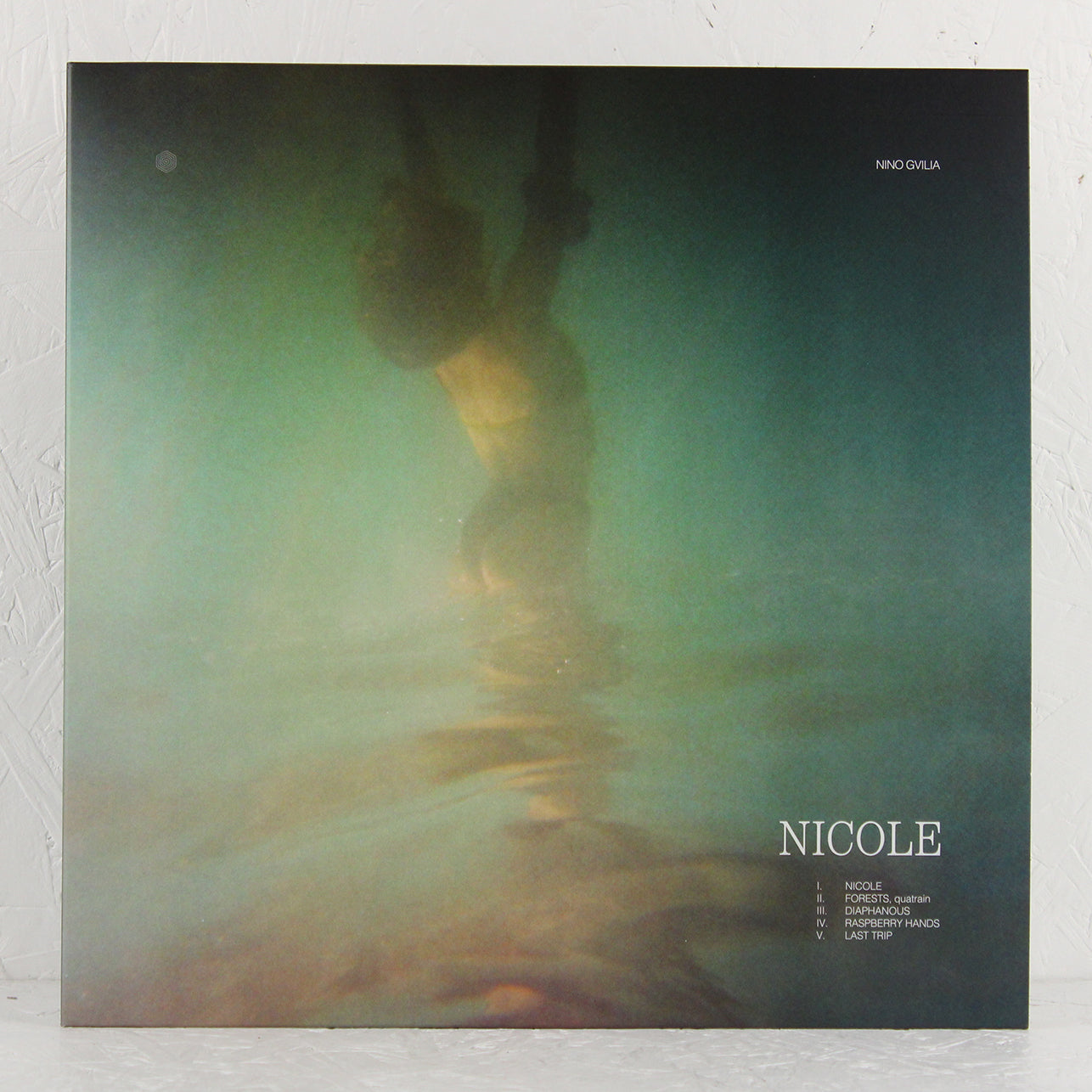 Nicole / Overwhelmed By The Unexplained – Vinyl LP