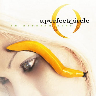 A Perfect Circle — Thirteenth Step (2-LP)