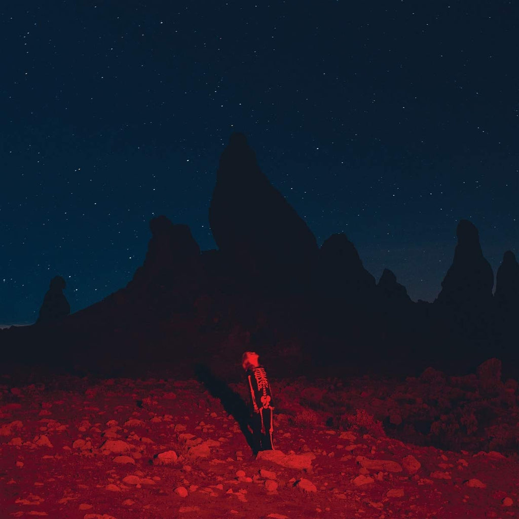 Phoebe Bridgers — Punisher