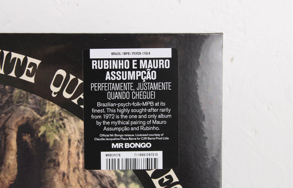 Perfeitamente, Justamente Quando Cheguei – Vinyl LP/CD