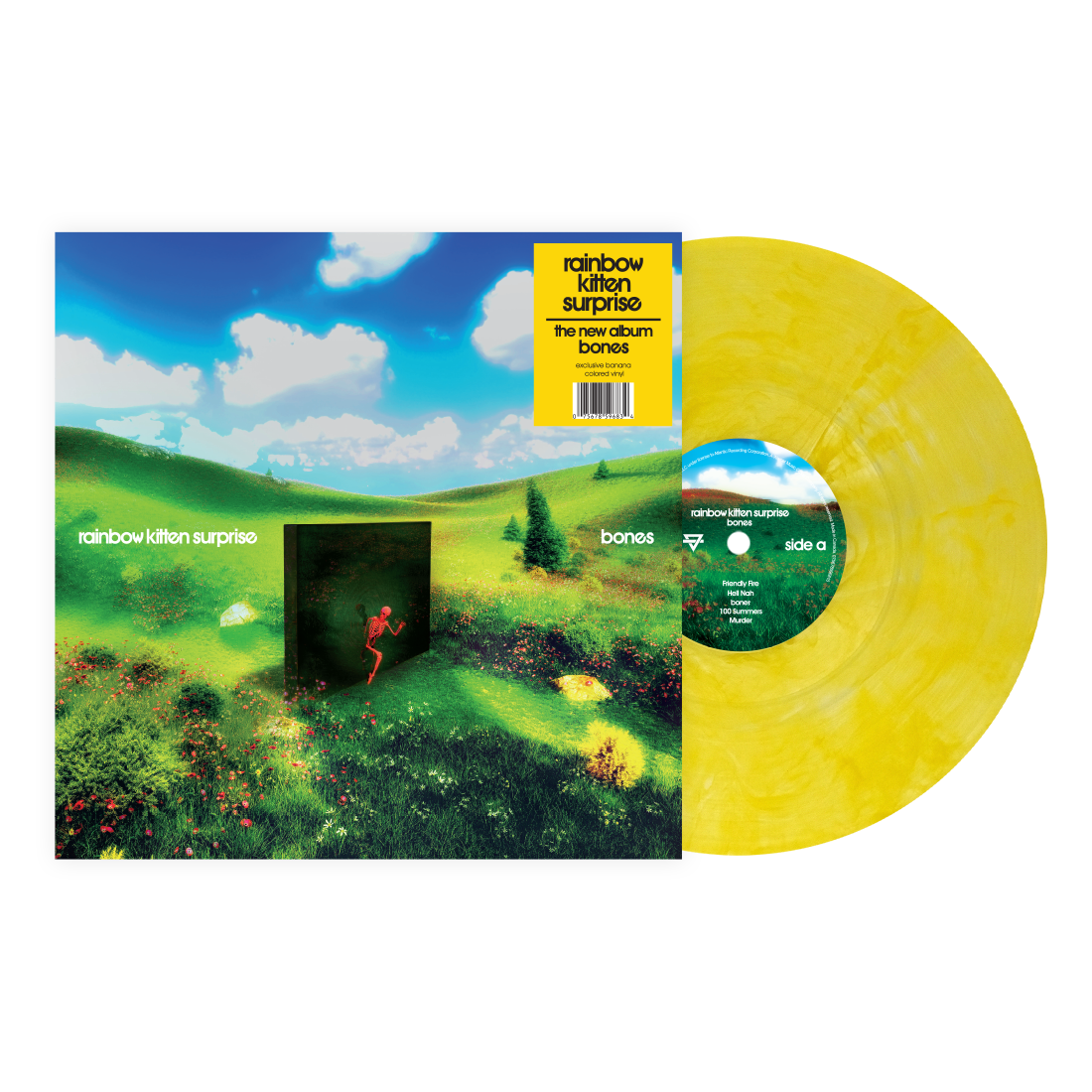 Rainbow Kitten Surprise — Bones (IEX Yellow)
