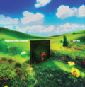 Rainbow Kitten Surprise — Bones (IEX Yellow)