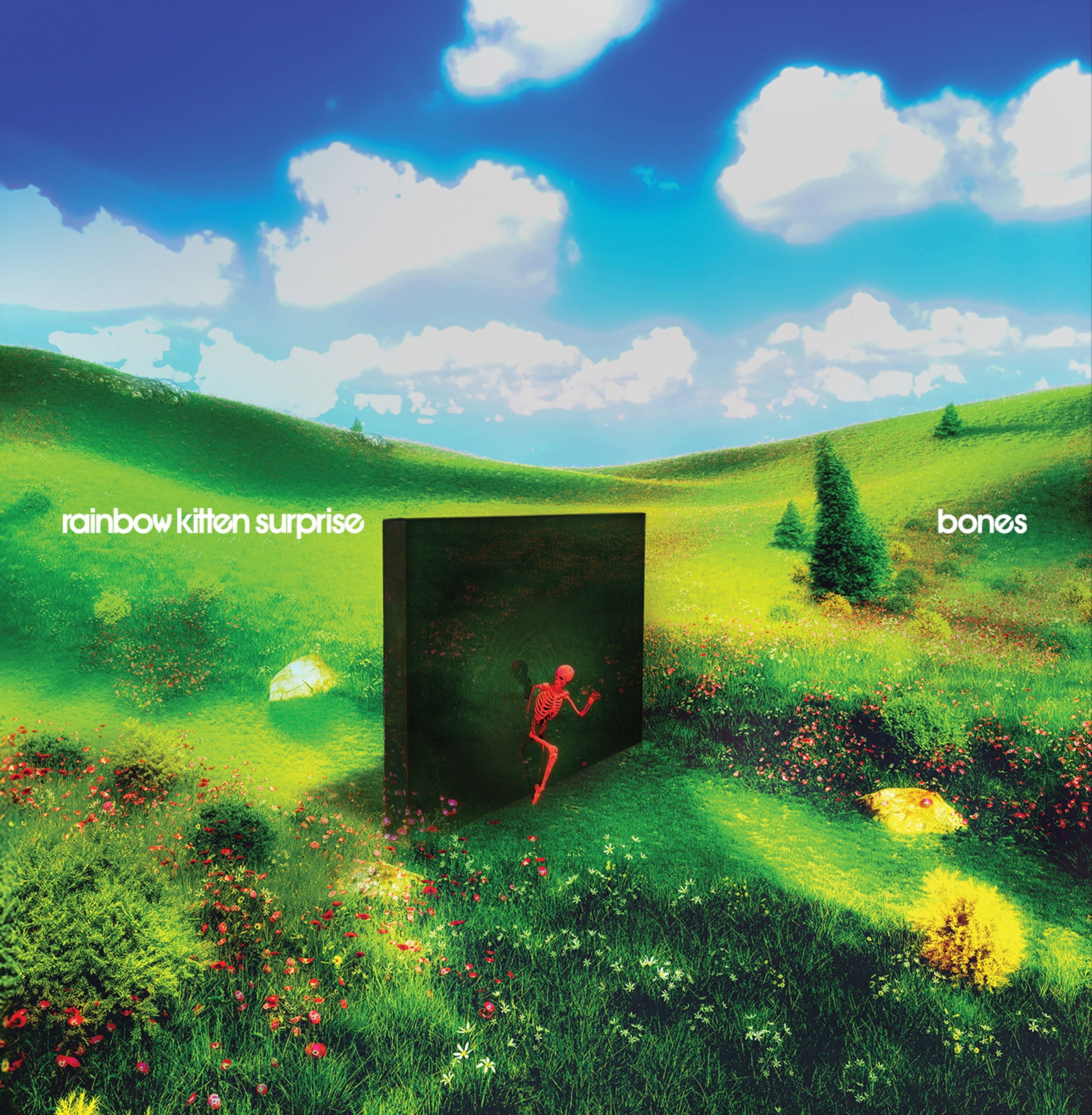 Rainbow Kitten Surprise — Bones (IEX Yellow)