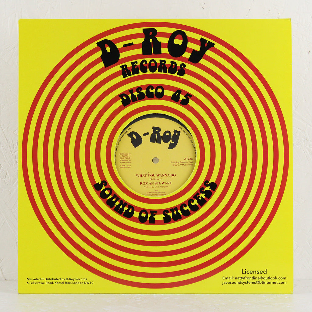 What You Wanna Do / Rockers Delight – Vinyl 12"