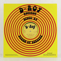 What You Wanna Do / Rockers Delight – Vinyl 12"