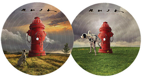 Rush — Signals