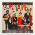 Tremendo Ambiente! – Vinyl LP