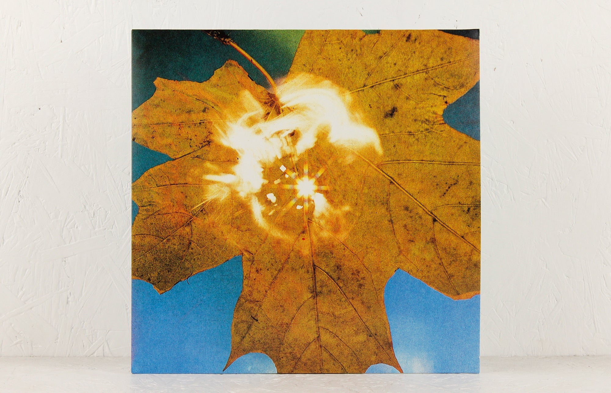 Force of the Wind (Сила ветра) - Vinyl LP/CD