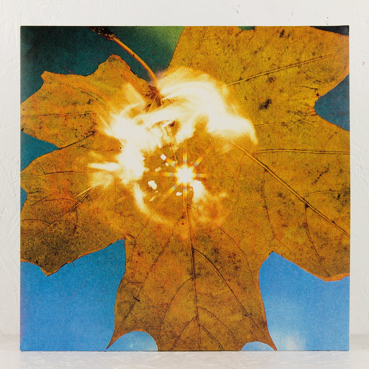 Force of the Wind (Сила ветра) - Vinyl LP/CD