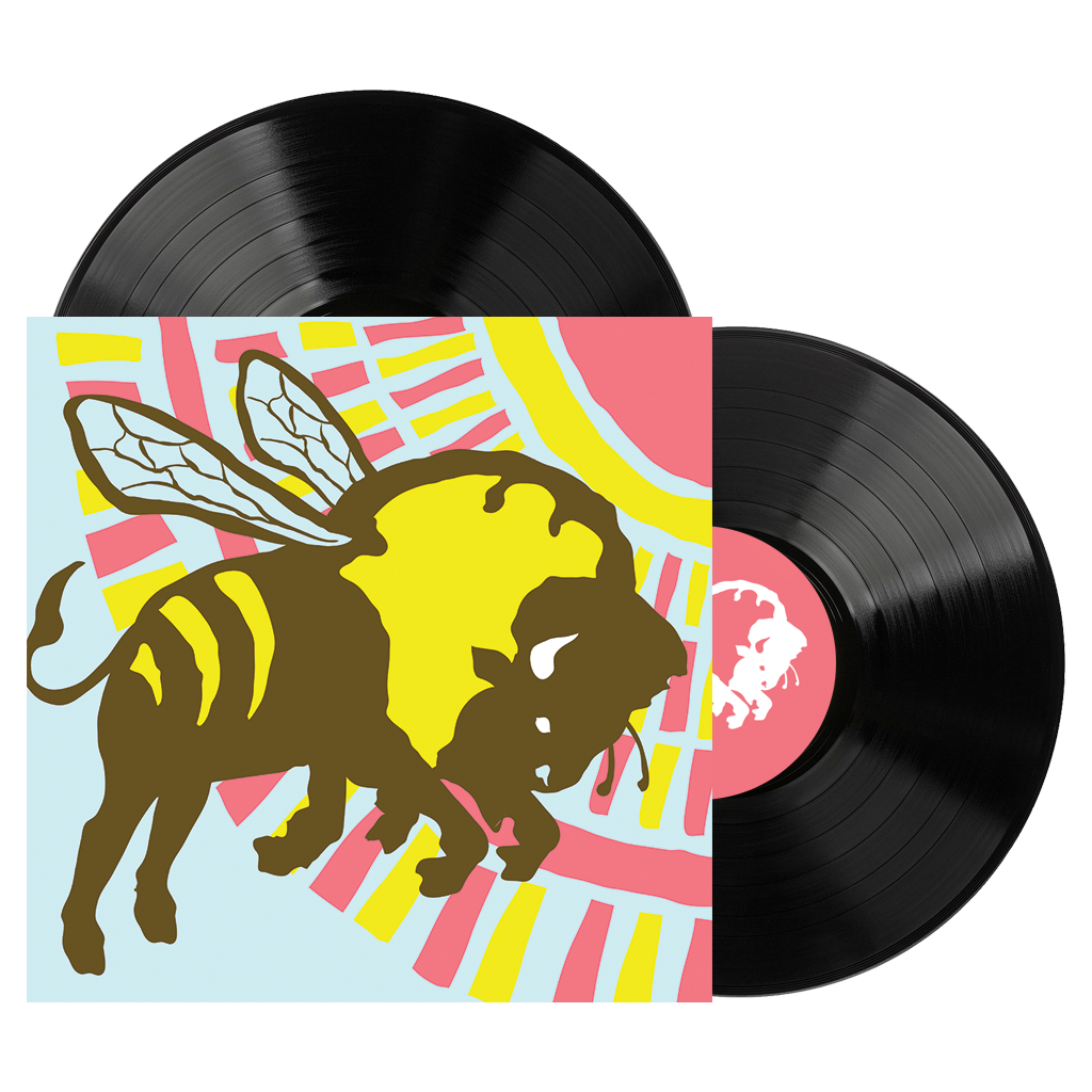 The Format: B-Sides & Rarities - Standard Edition 12" Black Double Vinyl (Distro Title)